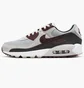 Кросівки чоловічі Nike Air Max 90 Grey Dq4071-004