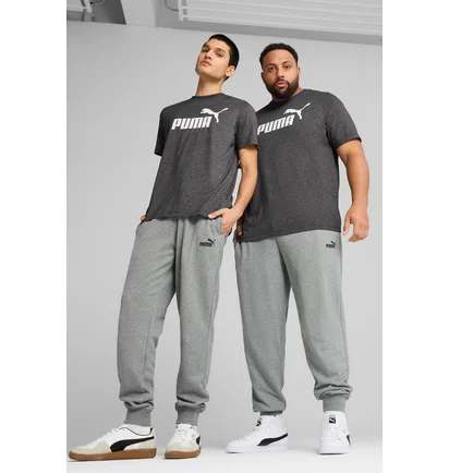 Штаны мужские Puma No. 1 Logo Grey 682608-03