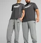 Штаны мужские Puma No. 1 Logo Grey 682608-03