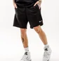 Шорты мужские Nike M Sp Short Ft Black FZ4708-010