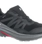 Кроссовки мужские Salomon Hypulse Gtx Black 415959