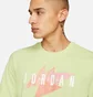 Футболка чоловіча Air Jordan Jumpman Air Green CZ8303-352