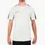 Футболка мужская Nike Dri-Fit Academy 23 White DR1336-100