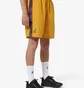Шорты мужские AUSTRALIAN Smash Short Chaos Yellow HCUSH0013-425