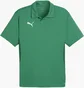 Поло мужское Puma Teamgoal Poloshirt F05 Green 658771-05