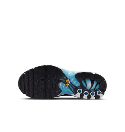Кроссовки детские Nike Air Max Plus Light Blue FD9767-100