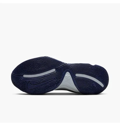 Кросівки чоловічі Nike Giannis Immortality 4 Grey FQ3680-008