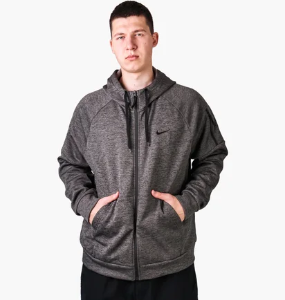 Кофта чоловіча Nike Therma-Fit Grey Dq4830-071