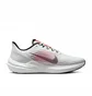 Кросівки чоловічі Nike Winflo 9 White DD6203-009