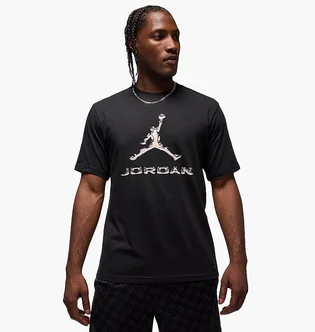 Футболка чоловіча Air Jordan Dri-Fit Black HQ9091-010