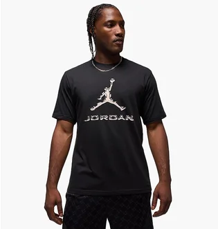 Футболка мужская Air Jordan Dri-Fit Black HQ9091-010
