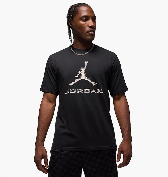 Футболка чоловіча Air Jordan Dri-Fit Black HQ9091-010