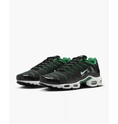 Кросівки чоловічі Nike Air Max Plus Shoes Black DM0032-009