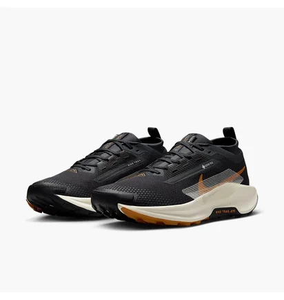 Кроссовки мужские Nike Pegasus Trail 5 Gore-Tex Black FQ0908-007