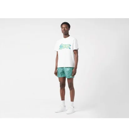 Шорты мужские Nike Swoosh Link 5 & Volley Short Green NESSE520-302