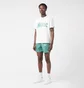 Шорты мужские Nike Swoosh Link 5 & Volley Short Green NESSE520-302