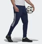Штани чоловічі Adidas Tiro 21 Track Pants Blue GE5425