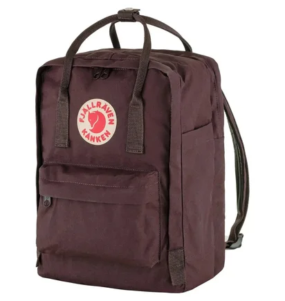 Рюкзак унісекс Fjallraven Kanken Laptop Brown 23523.424