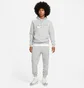 Худи мужское Nike M Nsw Sp Flc Hoodie Bb Grey FN0247-063