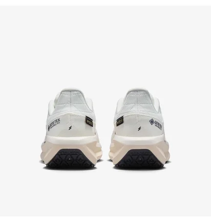 Кроссовки женские Nike Winflo 11 Gore Tex White FQ1359-100