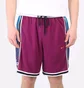 Шорти чоловічі Nike Dri-Fit Violet DH7144-610