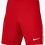 Шорты мужские Nike Shorts League Iii Knit Short Red DR0960-657