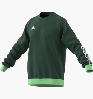 Свитшот мужской Adidas Sweatshirt Tiro23 C Co Cre Green HU1324