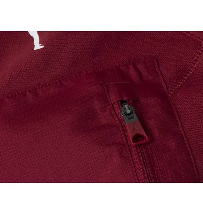 Штани чоловічі Air Jordan Dri-Fit Air MenS Pants Bordo DQ7890-613