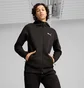 Толстовка чоловіча Puma Evostripe Black 681700-01