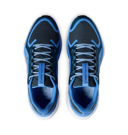 Кросівки жіночі Nike Pegasus 41 Gore Tex Blue FQ1357-400