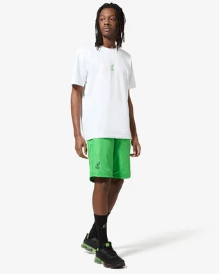 Шорты мужские AUSTRALIAN Hc Smash Short Green HCUSH0015-316