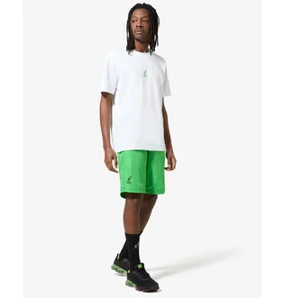 Шорты мужские AUSTRALIAN Hc Smash Short Green HCUSH0015-316