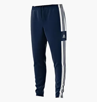 Штаны мужские Adidas Squadra 21 Sweat Blue GT6643