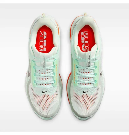 Кросівки чоловічі Nike Pegasus Premium MenS Road Running Shoes Green HQ2592-301