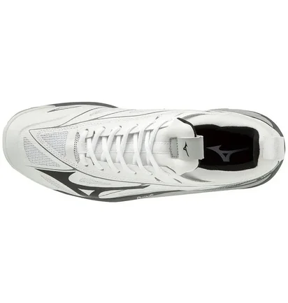 Кроссовки мужские Mizuno Wave Mirage 2.1 White/Grey X1GA1850-09