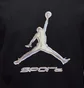 Футболка чоловіча Air Jordan Sport Dri-Fit Graphic T-Shirt Black HQ7984-010