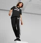 Футболка мужская Puma T-Shirt Classics Logo Black 530088-01