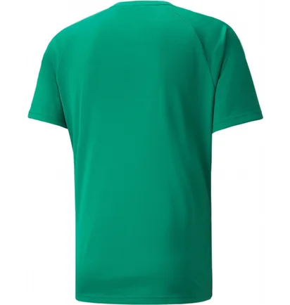 Футболка мужская Puma Teamliga Striped Jersey Green 704920-05