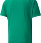 Футболка мужская Puma Teamliga Striped Jersey Green 704920-05