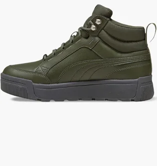 Кроссовки мужские Puma Tarrenz Sb Iii Puretex Green 393930-03