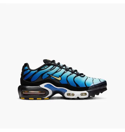 Кроссовки детские Nike Air Max Plus Blue CD0609-032