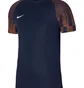 Футболка мужская Nike Jersey Dri-Fit Academy Blue DH8031-411