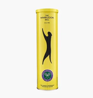 Тенісний м'яч Slazenger Wimbledon Ac 4B Green 340973