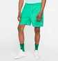 Шорты мужские Air Jordan M J Jumpman Poolside Short Green CZ4751-372