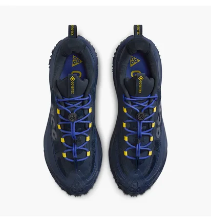 Кроссовки мужские Nike Acg Mountain Fly 2 Low Gore-Tex Blue HF6245-400