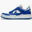 Кроссовки женские Nike W Dunk Low Disrupt White/Blue CK6654-100