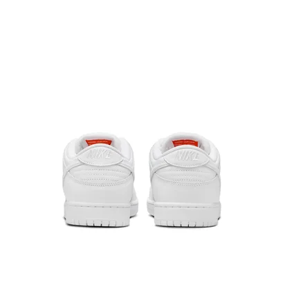 Кросівки чоловічі Nike Sb Dunk Low Pro White FJ1674-100