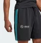 Шорты мужские Adidas Mercedes - Amg Petronas Formula One Team Dna Black JV5429