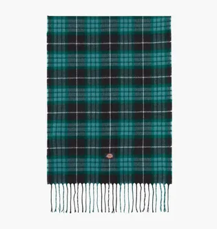 Шарф Dickies Stevensville Green DK0A4Z3HBLK