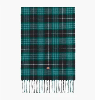 Шарф Dickies Stevensville Green DK0A4Z3HBLK